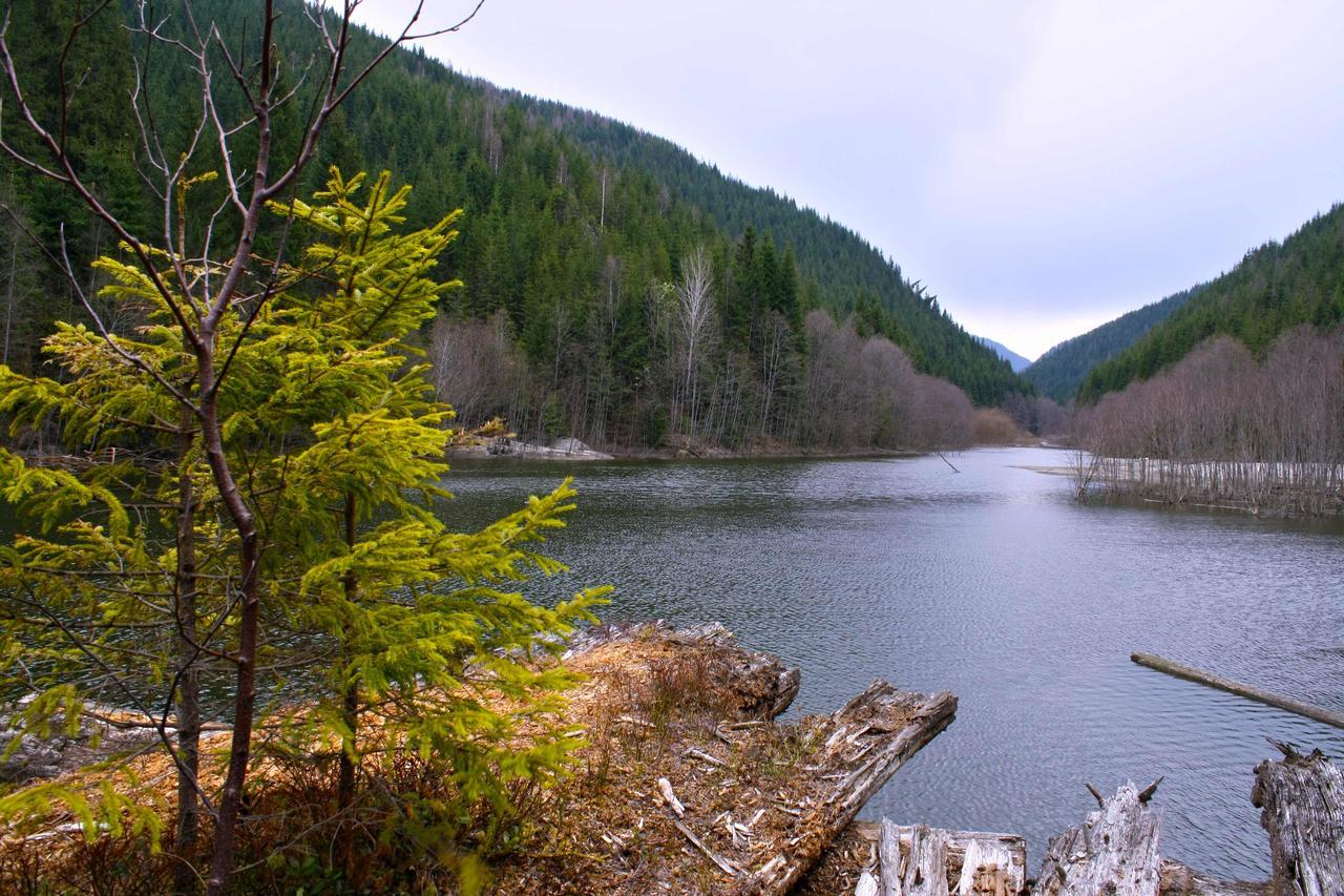 Dream Hostel Carpathians Rakhiv Luaran gambar