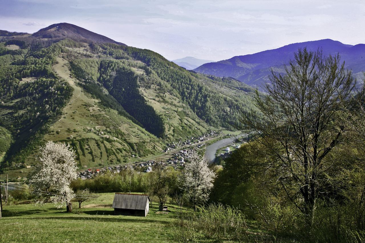 Dream Hostel Carpathians Rakhiv Luaran gambar